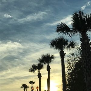 Meet your Posher, Nay